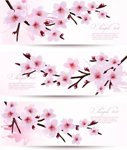 beautiful pink flowers vector banner