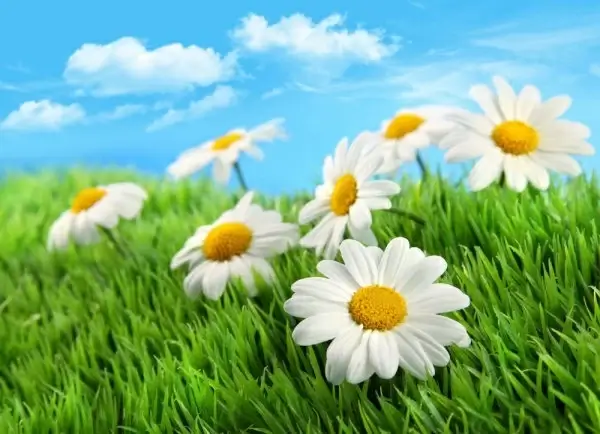 beautiful prairie landscape 01 hd picture