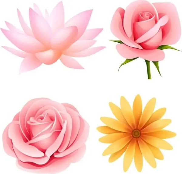 beautiful small flowers vector 4