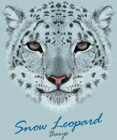 beautiful snow leopard vector background