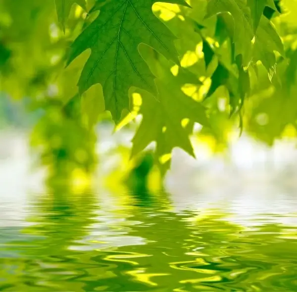 beautiful waterscape reflection series 03 hd pictures