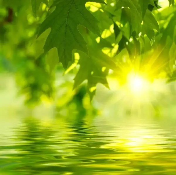 beautiful waterscape reflection series 04 hd pictures