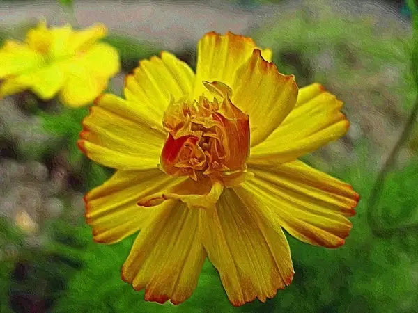 beauty in yellow