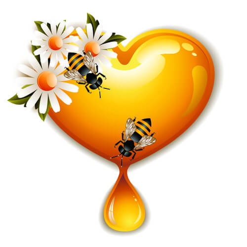 bee honey dripping effect background vector
