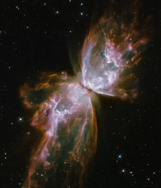 beetle fog galaxies star