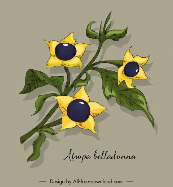 belladonna flower icon colored classical handdrawn sketch