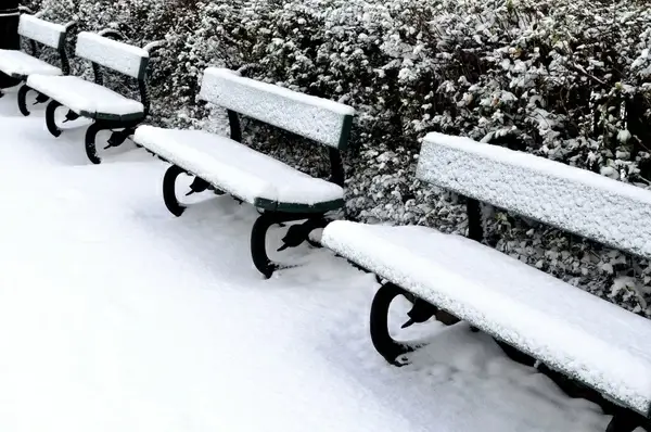 bench and snow