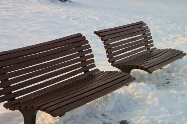 bench cold park 