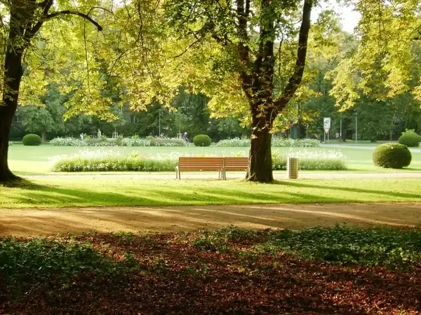 bench in a park 