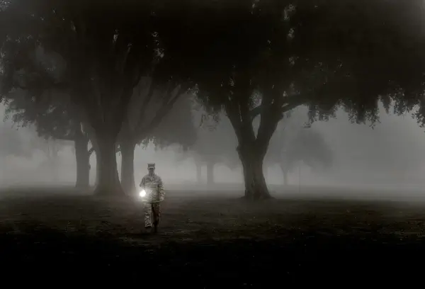 between fog and trees