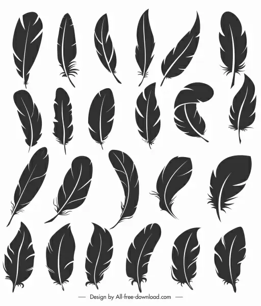 bird feather icons dark black handdrawn shapes