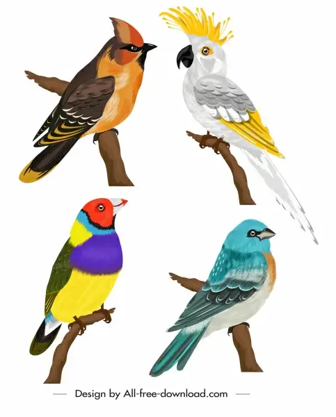bird species icons colorful classical sketch