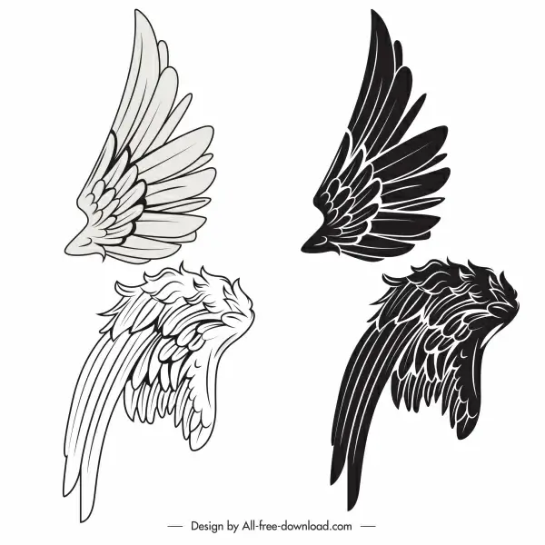 bird wing icons black white classical handdrawn sketch