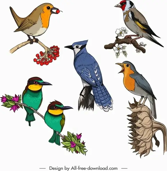 birds creatures icons colorful classical sketch