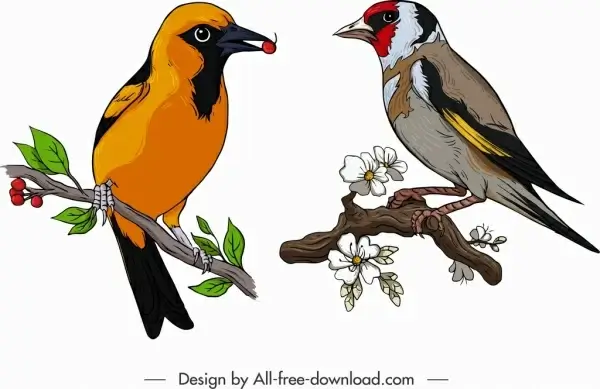 birds icons colorful tailorbird sparrow sketch