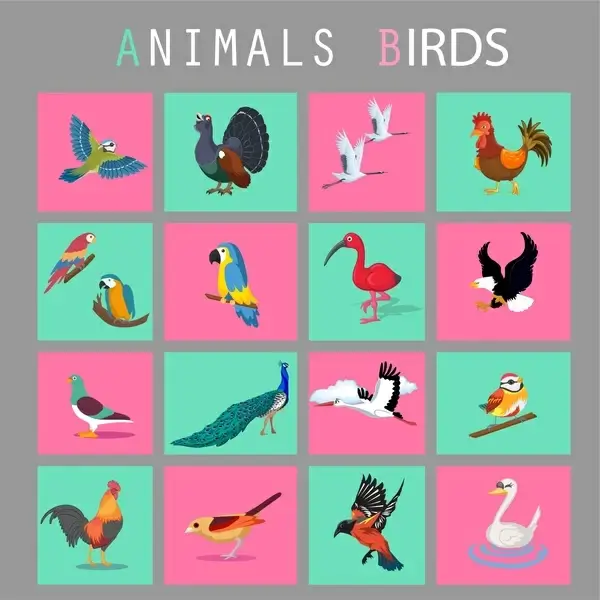 birds icons set isolated in flat colors style