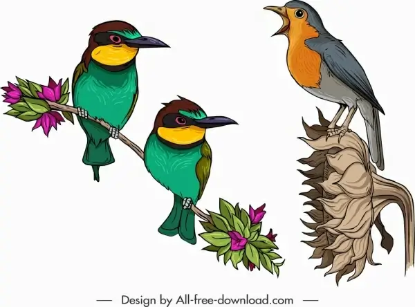 birds icons sparrow flowerpecker sketch colorful design