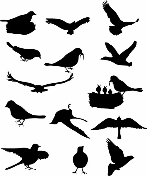 Birds silhouette design elements sketch