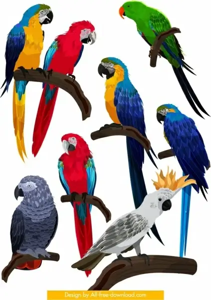 birds species collection parrot owl icons colorful design