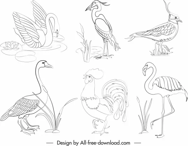 birds species icons black white handdrawn sketch