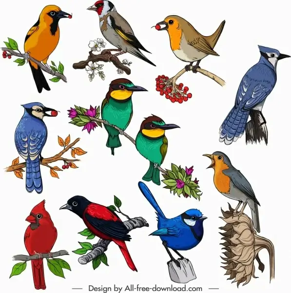 birds species icons colorful classical design