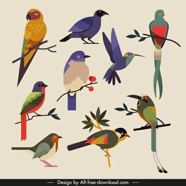 birds species icons colorful classical sketch