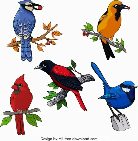 birds species icons colorful sketch perching gesture