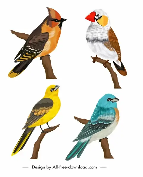 birds species icons perching sketch colorful cartoon design