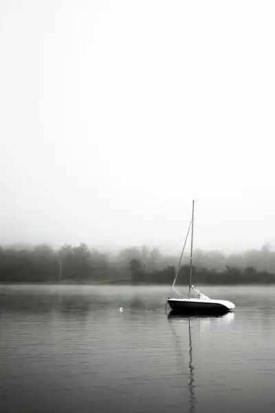 black and white boat calm fog grass lake landscape