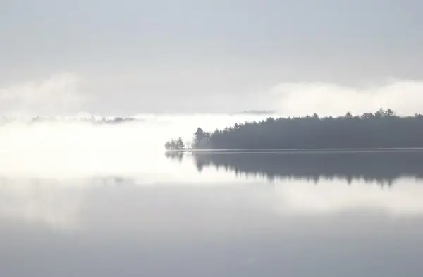 black and white calm dawn fog forest lake landscape 