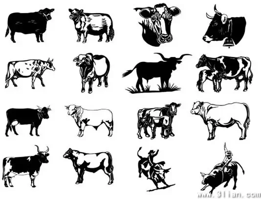 wild west design elements cow boys bulls icons