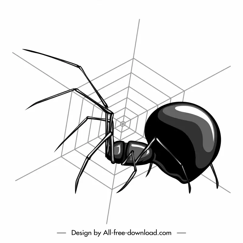 black widow design element black white handdrawn spider web sketch