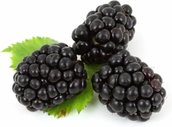 blackberries