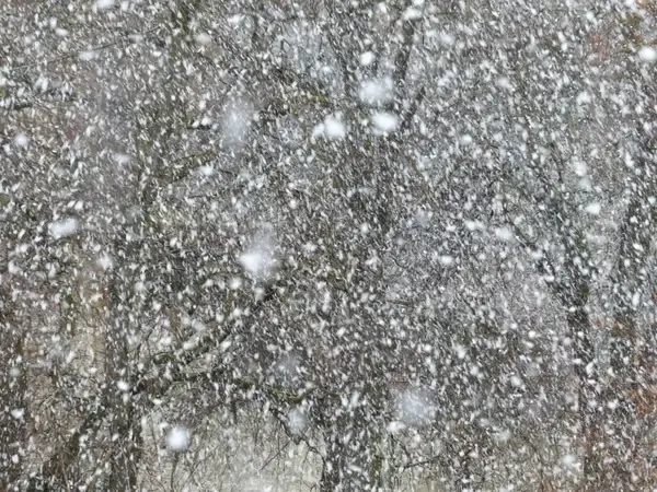 blizzard snow flurry snowflakes