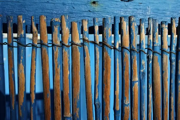 blue bamboo