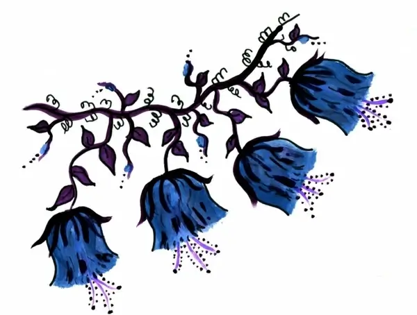 blue bells vine