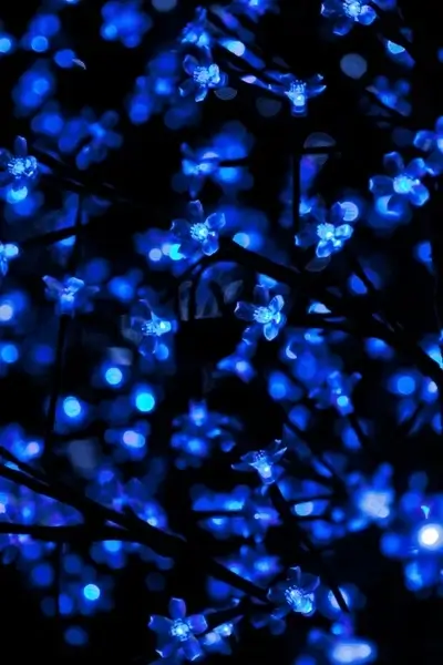 blue christmas lights