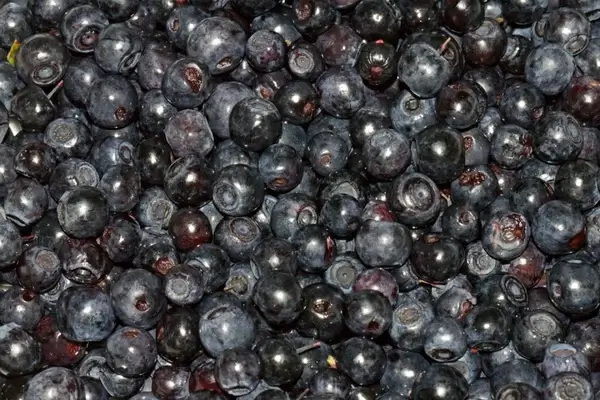 blueberries