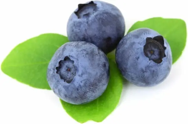 blueberry