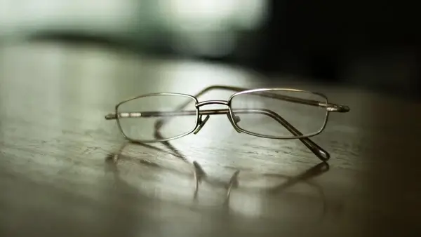 blur close closeup dof eyeglasses eyesight fly