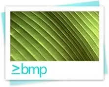 Bmp image file