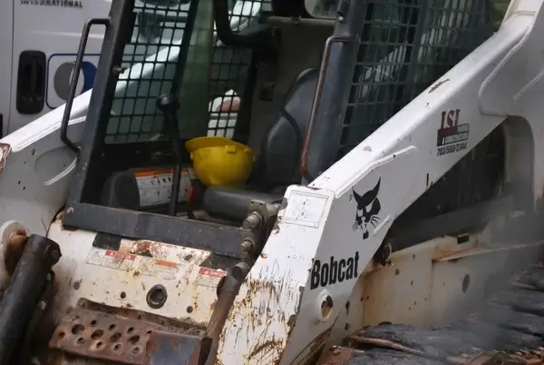 bobcat