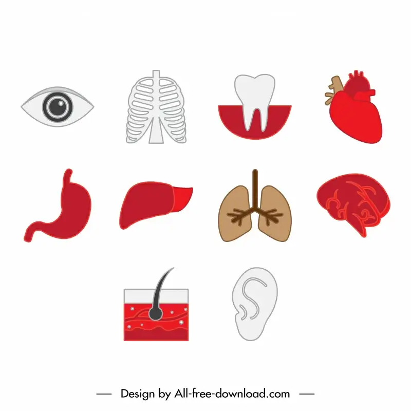 body icon sets flat organs parts symbols sketch