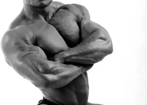 bodybuilder 03 hd picture