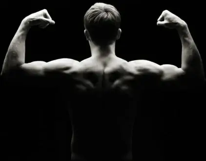 bodybuilder 05 hd picture