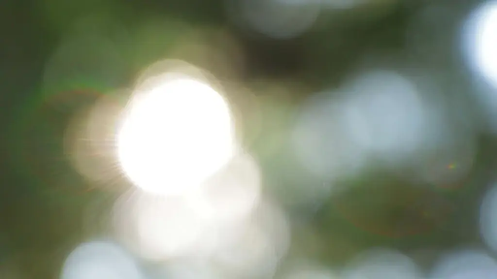 bokeh clip of sunlight in nature