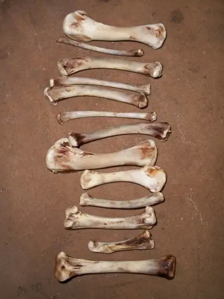 bone tower
