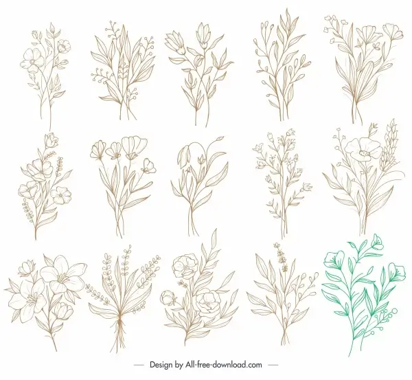 botanical icons classic handdrawn sketch