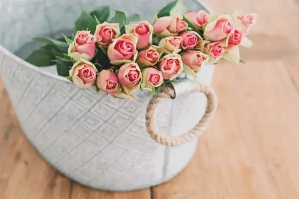 bouquet of pink roses