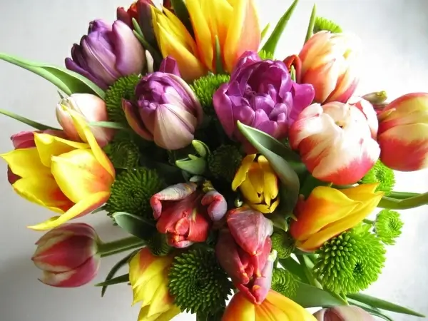 bouquet tulips our